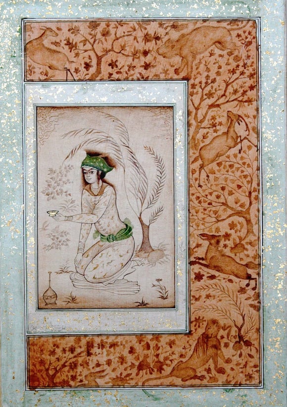 Young Boy Sitting